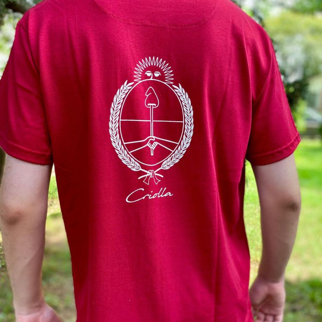 remera-manga-corta-escudo-argentino-2044